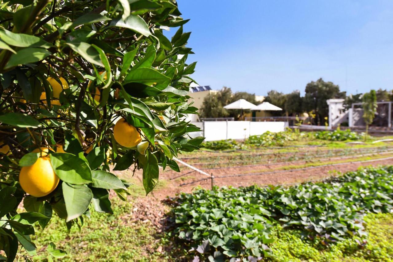 Los Algodones Cottage With Pool インヘニオ エクステリア 写真